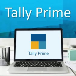 tally-prime Tally Prime with GST